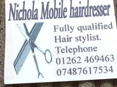 Nicholas mobile hairdresser photo
